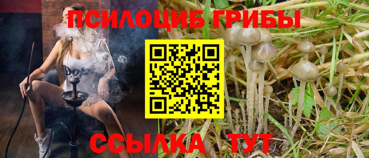 Галлюциногенные грибы GOLDEN TEACHER Анжеро-Судженск