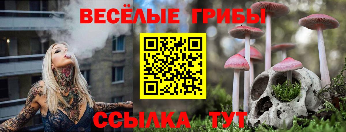 Анжеро-Судженск  Псилоцибиновые грибы GOLDEN TEACHER  Вход с VPN  Псилоцибиновые грибы MAGIC MUSHROOMS 