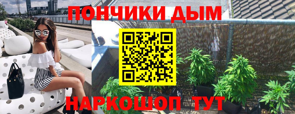 ГАШИШ Анжеро-Судженск